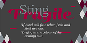 Magnel Display, a Serif Font by Eimantas Paskonis (Thumbnail 3 of 6)