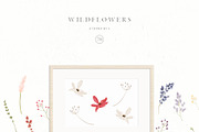 Wildflowers, an Illustration by Blossom (Thumbnail 8 of 9)