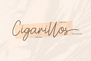Astercla Modern Script Font, a Handwritten Font by Heinzel Std (Thumbnail 6 of 9)