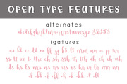 Raspberry Moonshine, a Script Font by Brittney Murphy Design (Thumbnail 4 of 4)