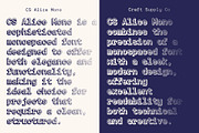 CS Alice Mono 3D, a Sans Serif Font by Craft Supply Co. (Thumbnail 6 of 8)