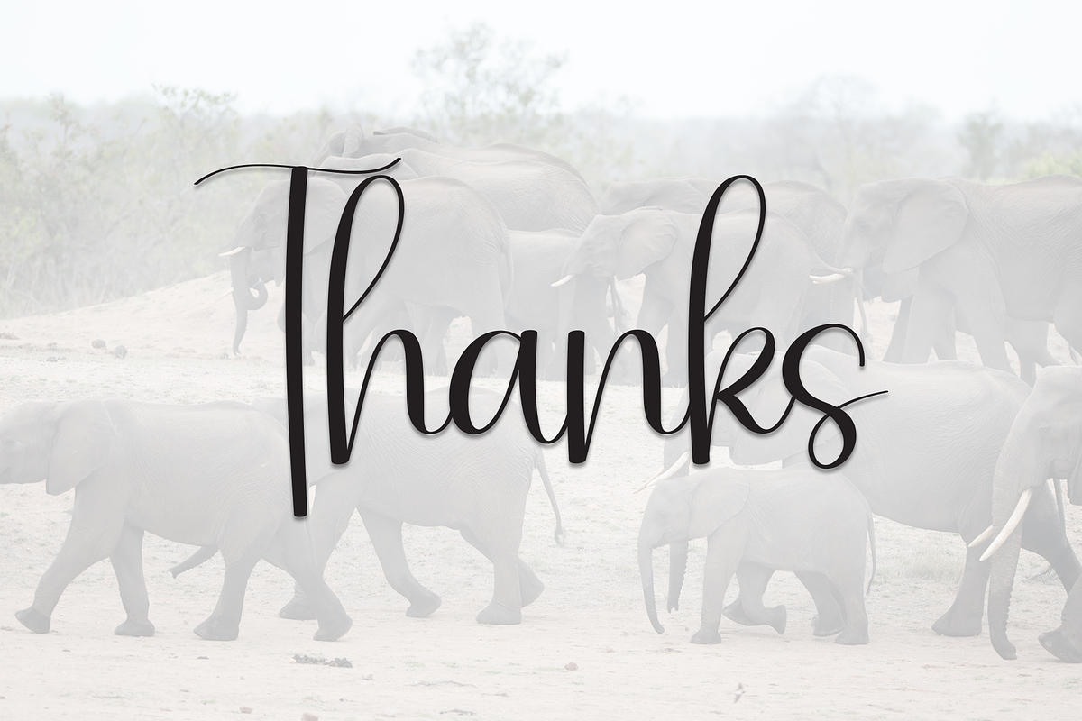 Elephant | Script Font, a Handwritten Font by Scratchones (Photo 9 of 9)