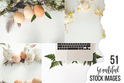 Dumb Bunny Easter Stock Photography, a Mockup by Ashley Alexandra Design (Thumbnail 5 of 10)