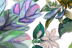 Island Flora. Seamless Patterns