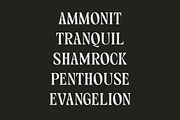 Callgrim - Serif Display Font, a Serif Font by Haps Space (Thumbnail 3 of 14)