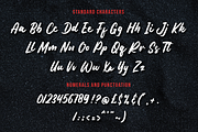 Matter Wild a Brush Script Font, a Script Font by Fatmawati (Thumbnail 9 of 12)