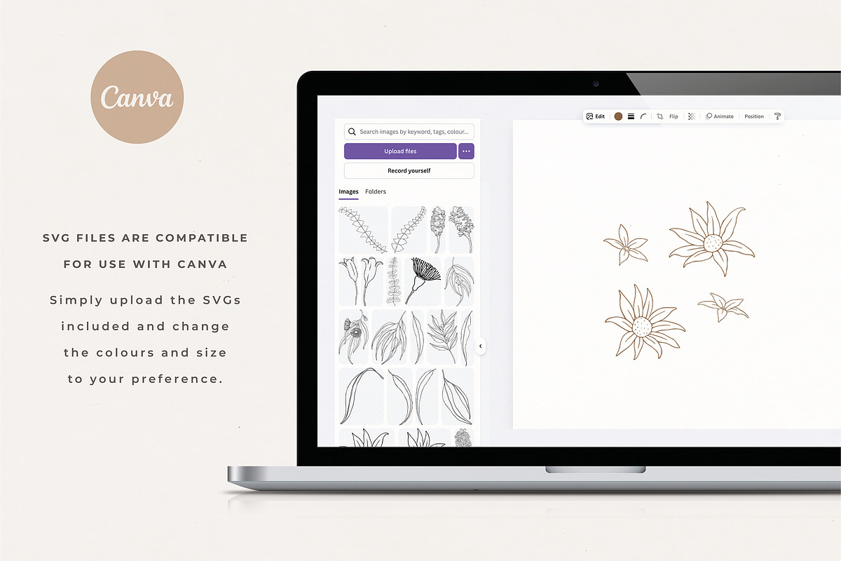 Australian Botanical Illustrations, a Decorative Illustration by rouxsupplyco (Photo 12 of 13)