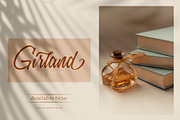 Millania || Modern Script Font, a Script Font by BrandSemut (Thumbnail 4 of 9)