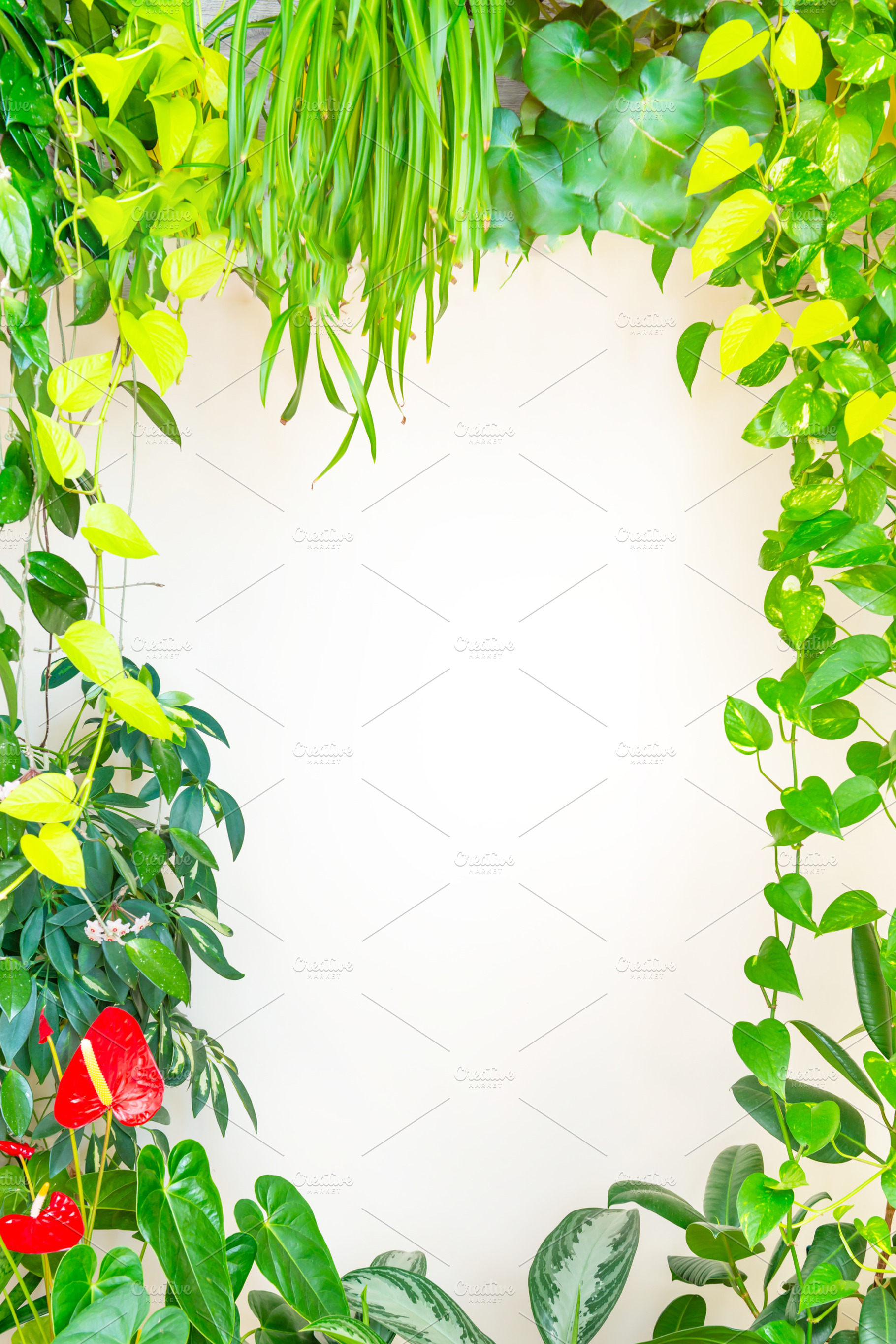 Green plants and leaves frame, a Nature Photo by Vapi
