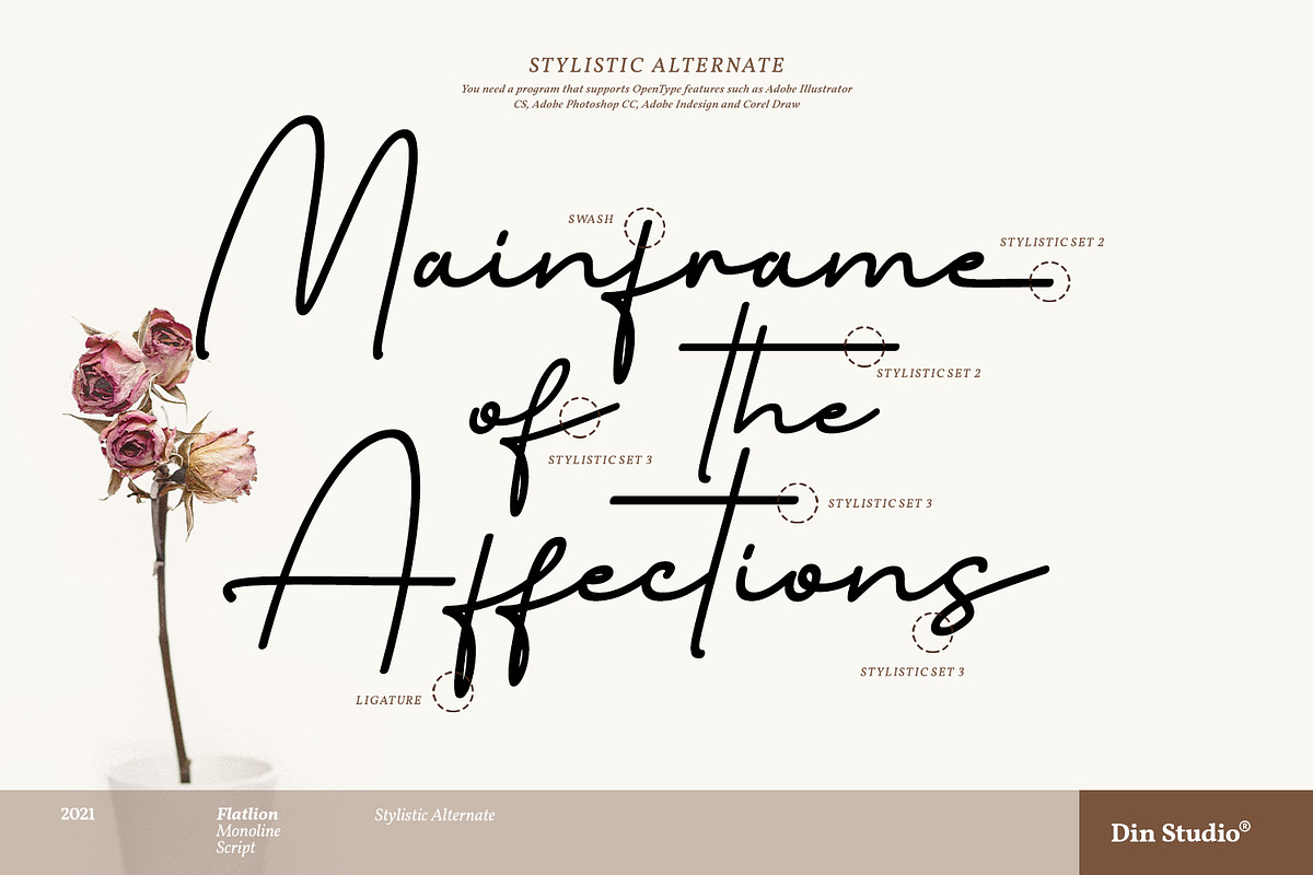 Flatlion Monoline Script Font, a Script Font by din-studio.com (Photo 8 of 10)