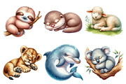 Sleeping Baby Animals, an Illustration by Pixels.Craft (Thumbnail 3 of 7)