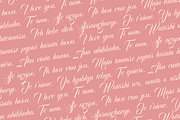 Bandung PRO - Luxury Wedding Font, a Script Font by dexsarharryfonts (Thumbnail 8 of 9)