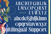 Glowfor Modern Serif Display Font, a Serif Font by timelesstype.co (Thumbnail 19 of 20)