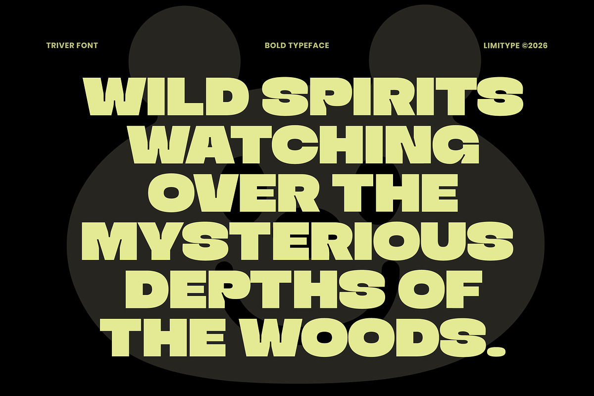 Triver - Bold Inktrap Font, a Sans Serif Font by limitype (Photo 2 of 12)