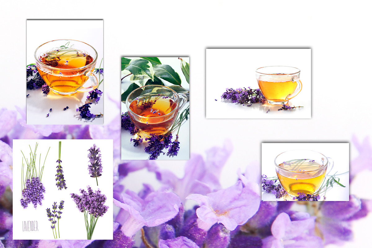 Lavender.PhotoSet, an Object Graphic by Pullia (Photo 4 of 4)