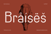 Remond Rounded Rough, a Sans Serif Font by Craft Supply Co. (Thumbnail 7 of 8)