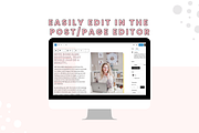 Pastel Service Sales Templates, a WordPress Template by ltsdesigns (Thumbnail 3 of 4)