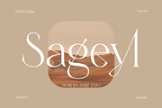 Sageyl, a Serif Font by Sealoung (Thumbnail 1 of 13)
