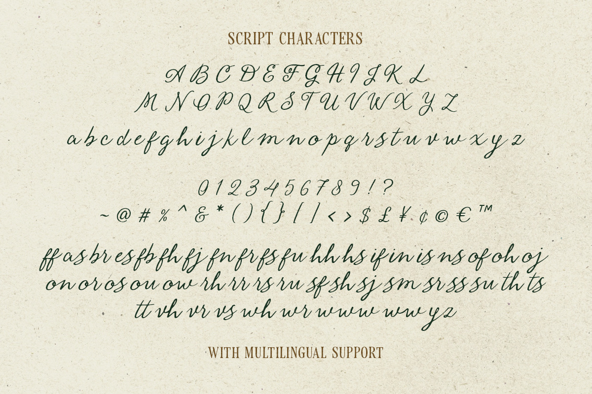 Vintage Serenade - Organic Font Duo, a Serif Font by Bale Type (Photo 11 of 12)