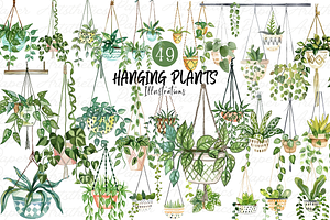 Hanging Plants Illustrations Png