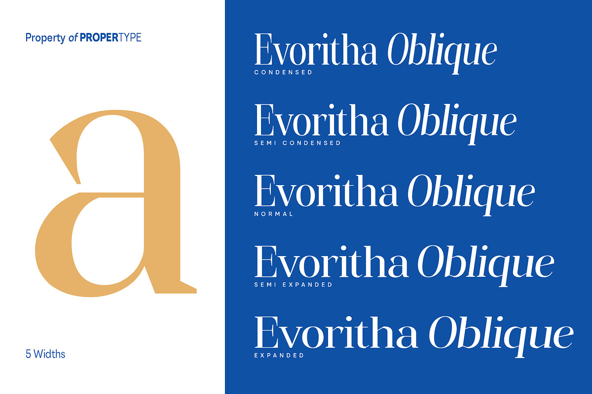 Evoritha, a Serif Font by Propertype (Photo 3 of 16)