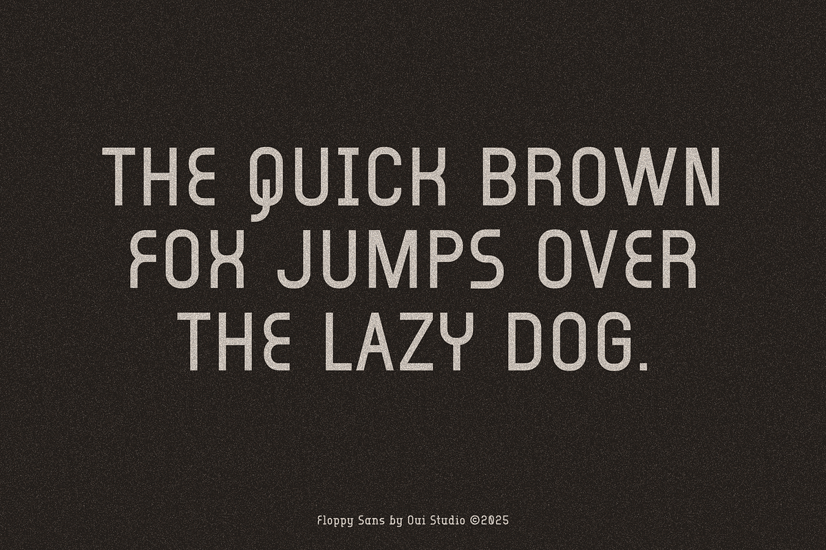 Floppy Clean Modern Sans Serif, a Sans Serif Font by Oui Studio (Photo 2 of 10)