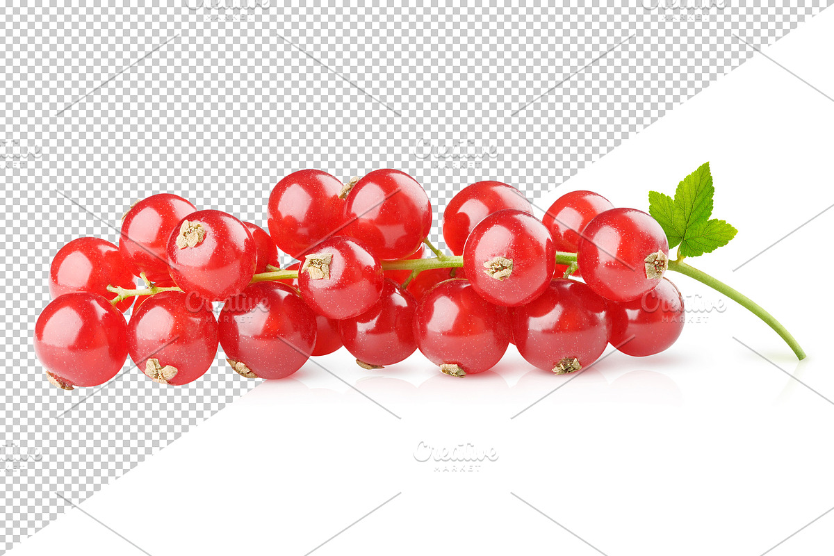 Bunch of red currants preview 4