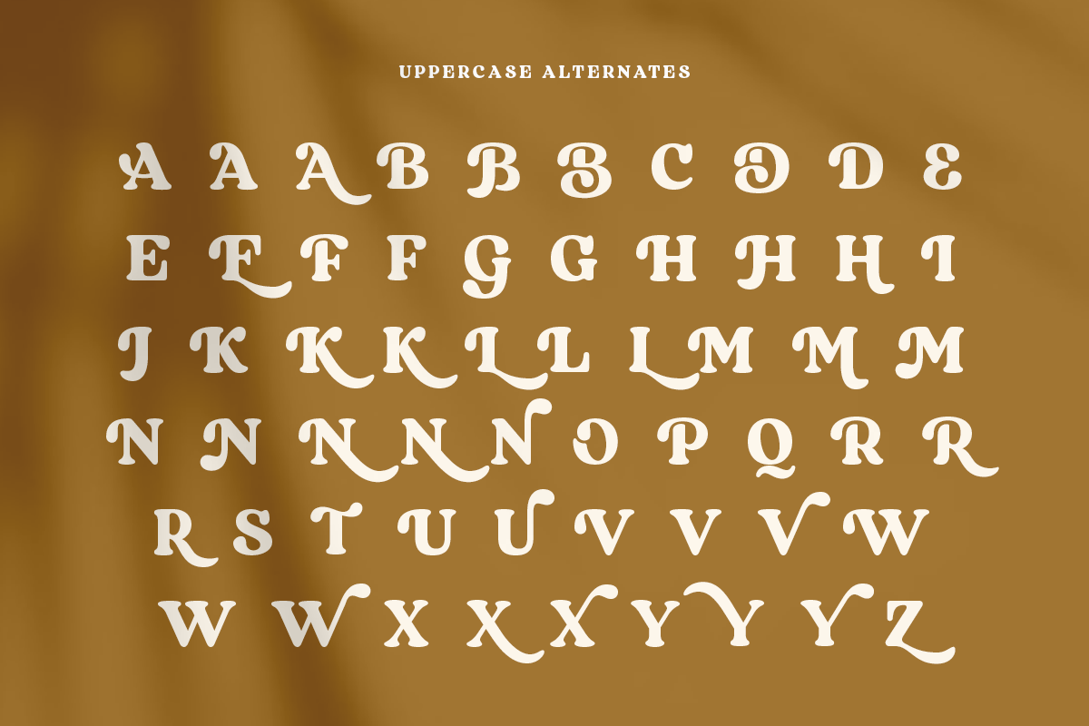 Regards - Modern Retro Serif, a Serif Font by Sensatype (Photo 17 of 23)