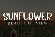 Chubby, a Serif Font by InermediaSTUDIO (Thumbnail 6 of 7)
