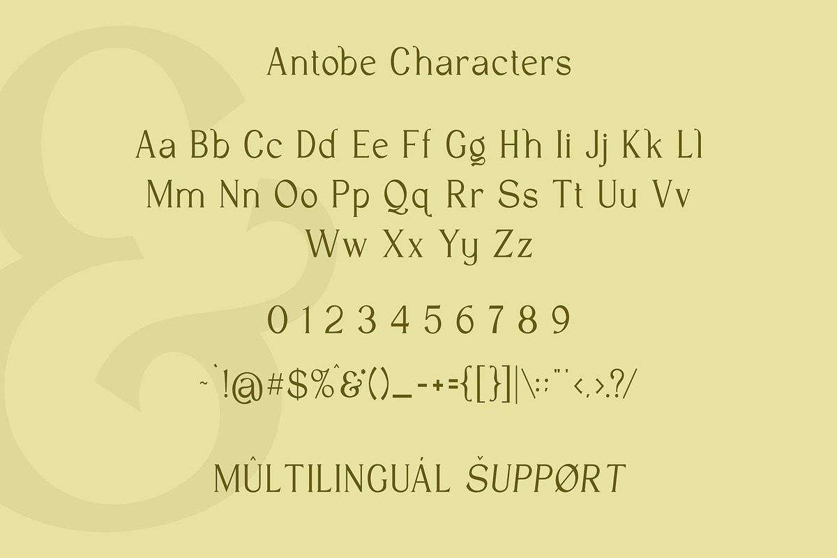 VT Antobe - Modern Serif, a Serif Font by ViactionType (Photo 10 of 12)