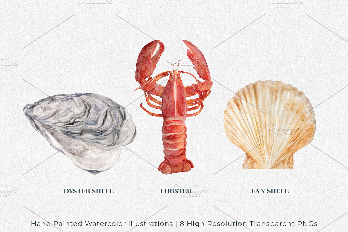 Coastal Watercolor Illustrations, an Illustration by Jeanette Pidi Design (Photo 2 of 5)