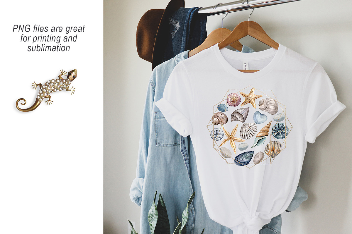 Shells, beach watercolor set., an Illustration by Larisa Maslova (Photo 13 of 13)