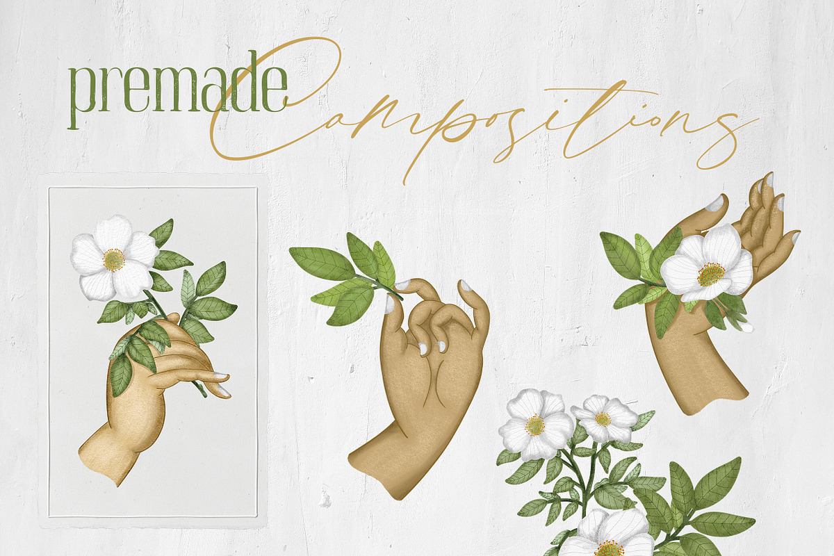 Cherokee rose clipart pattern set, a Decorative Illustration by Yelloo Fish (Photo 4 of 21)