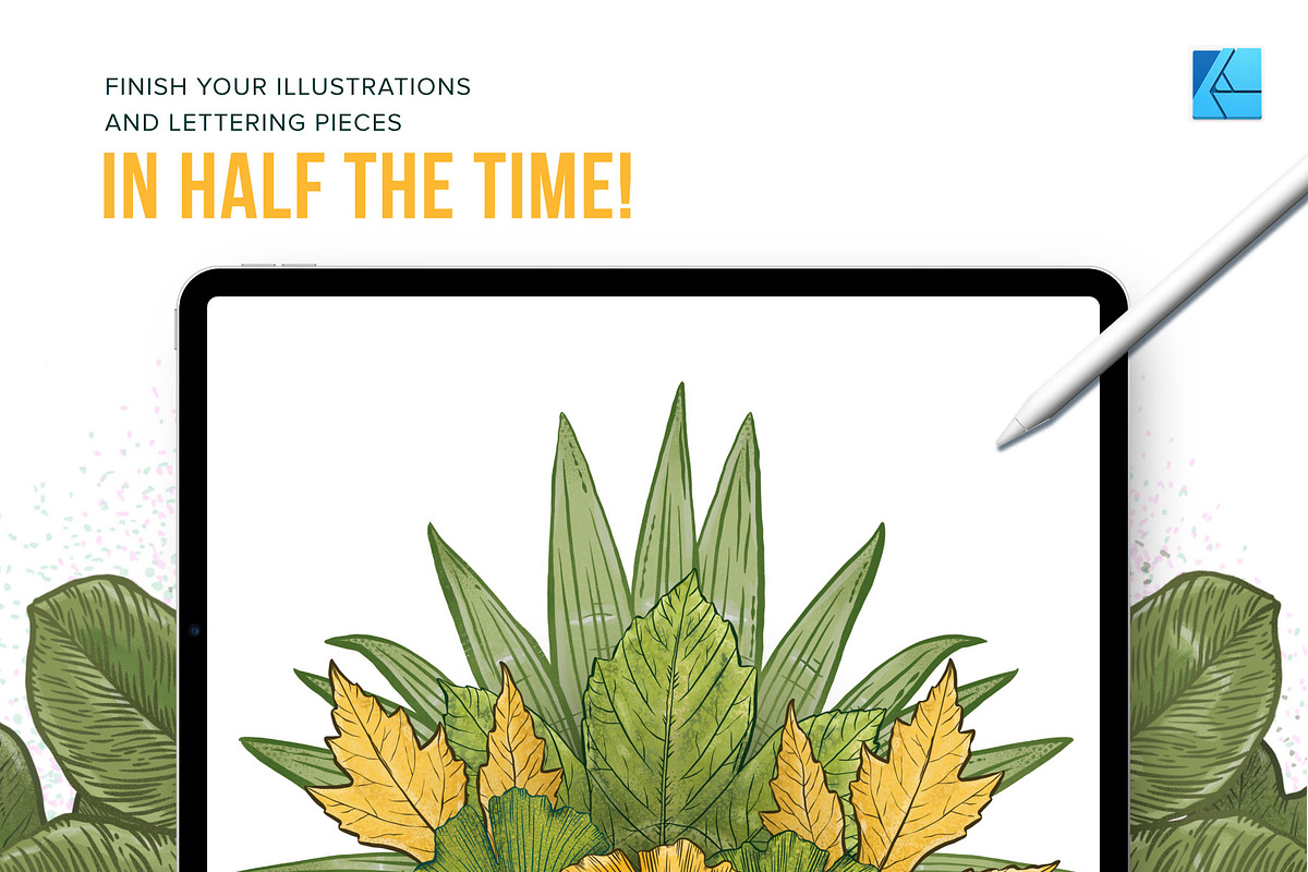 12 Leaf Affinity Stamp Brushes, a Brush Add-On by Riveros Illustration (Photo 6 of 9)