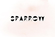 Sparrow - modern sans serif, a Sans Serif Font by Sk designs (Thumbnail 1 of 9)