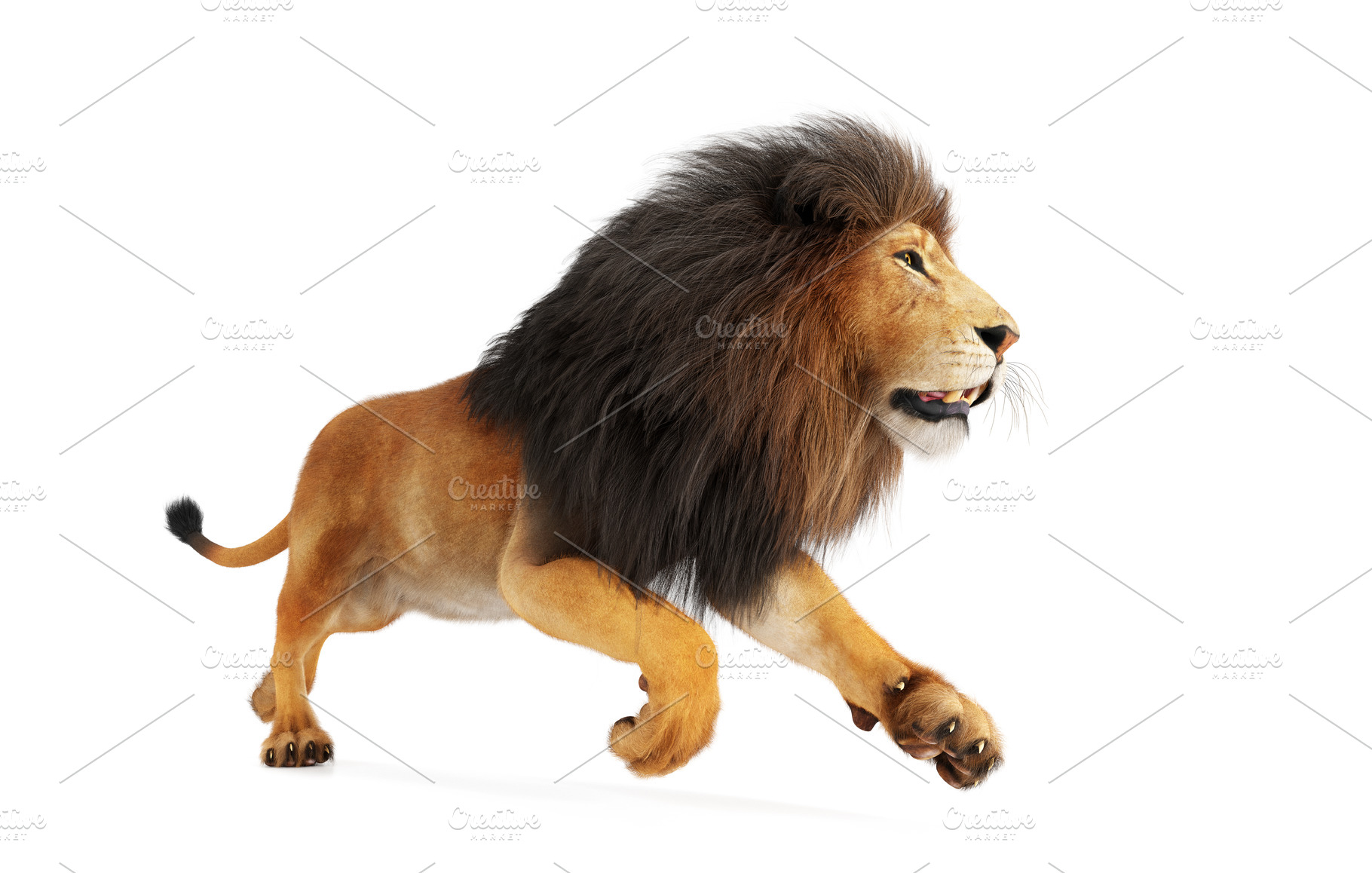 Lion running isolated on white., an Animal Photo by Photocreo Michal Bednarek