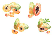 Watercolor tropical fruits., an Illustration by TaPilipa (Thumbnail 29 of 39)