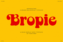 Retro Bold Serif Font - Bropie