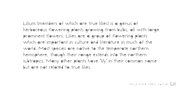 Lilycat, a Handwritten Font by Letters & Numbers (Thumbnail 3 of 4)
