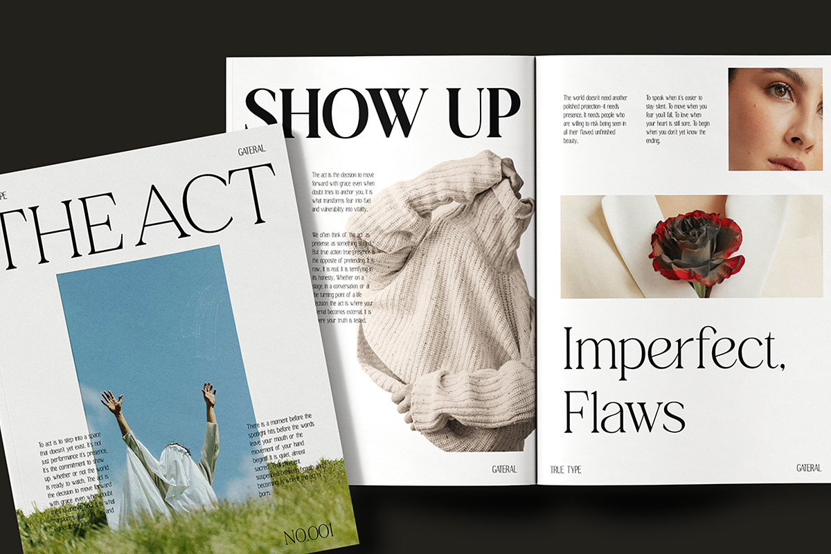 TT Gateral – Elegant Serif Typeface, a Serif Font by truetype (Photo 10 of 15)