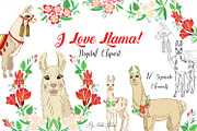 Llama Clipart with red flowers, an Animal Illustration by Nataliapiache (Thumbnail 1 of 5)