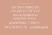 Fragile Chique Serif Font, a Serif Font by zeenesia (Thumbnail 13 of 15)