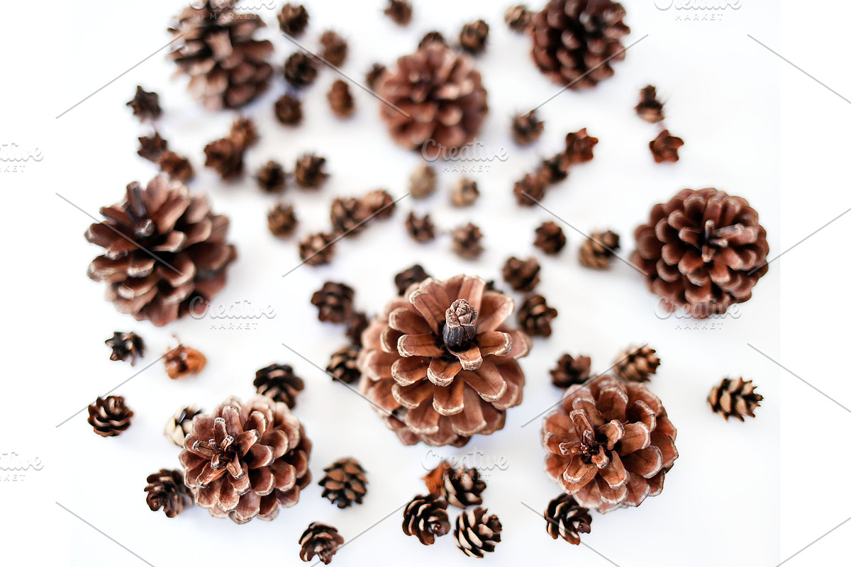 Deep Fall Bundle - Stock Photos, a Print Template by SunnyTangerine Stock (Photo 10 of 12)