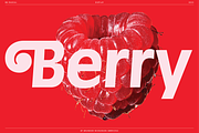 BN Rascal, a Sans Serif Font by Bnick (Thumbnail 10 of 12)