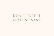 Flatline Serif Complete - 16 fonts, a Serif Font by Up Up Creative (Thumbnail 13 of 13)