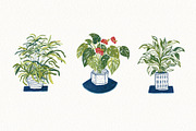 Watercolor Green Plants Clipart Set, an Illustration by Anna Ivanir (Thumbnail 5 of 5)