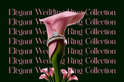 Sabila Modern Ligature Serif, a Serif Font by Alfinart (Thumbnail 9 of 11)