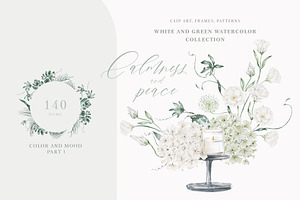 White flowers and tropical leaves