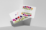 Big set Multicolored Tulips, a Graphic by MarynaPetrovska (Thumbnail 10 of 13)