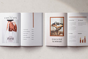 Ecommerce Business Plan / Canva, a Brochure Template by BrochuresFactory (Thumbnail 4 of 11)